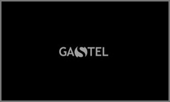 Project Name